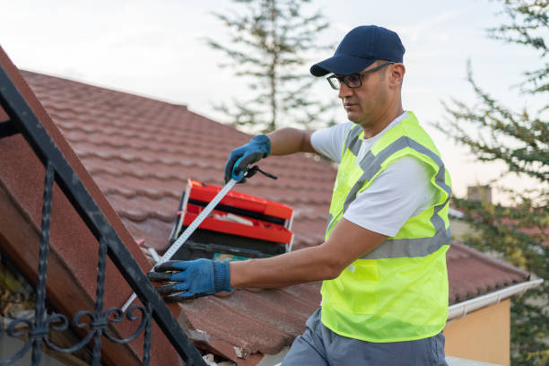 Best Insulation for New Construction  in Cerro Gordo, IL